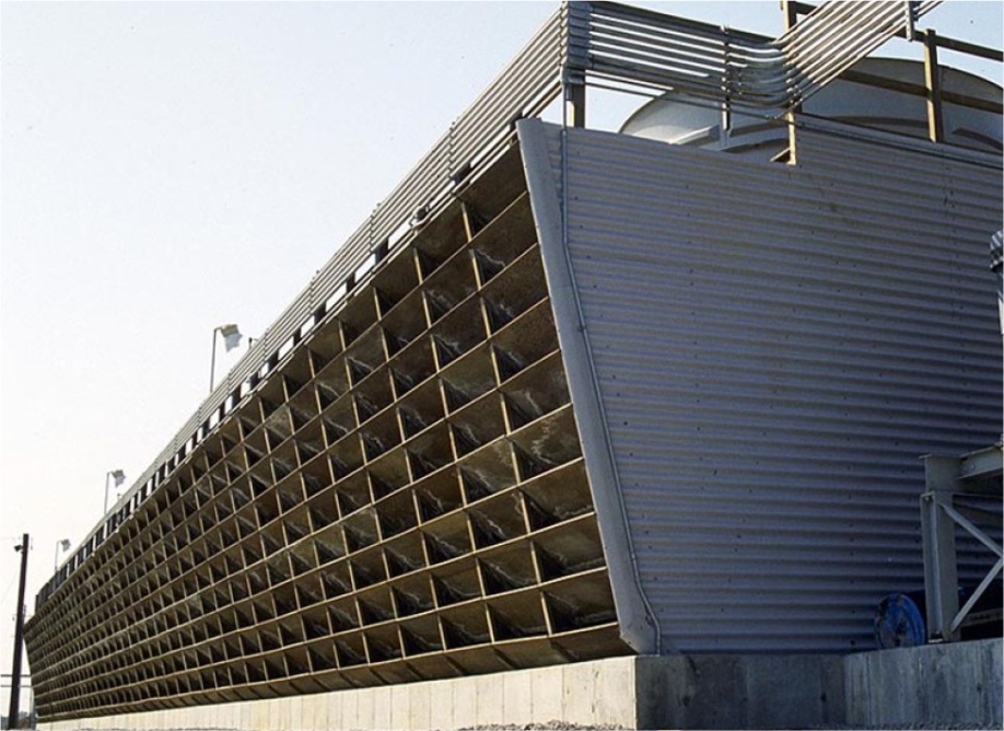 Member Image